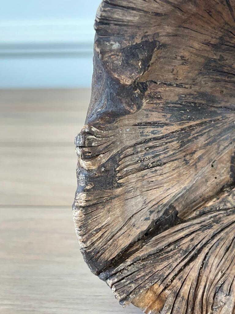 Natural Wood Burl Sculpture