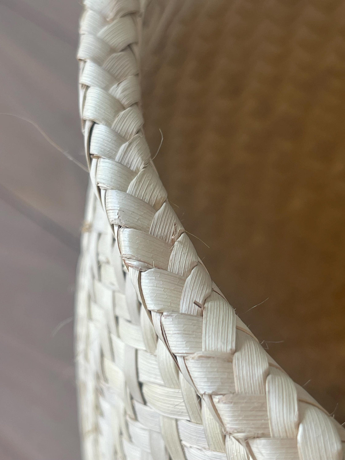 Handwoven Oaxacan Palm Storage Basket