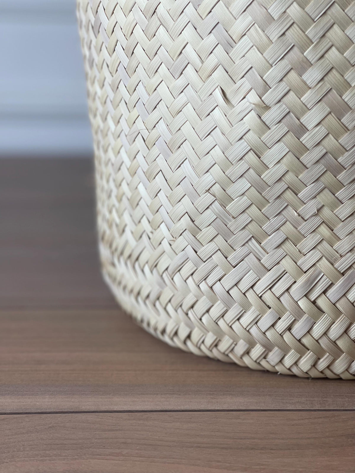 Handwoven Oaxacan Palm Storage Basket