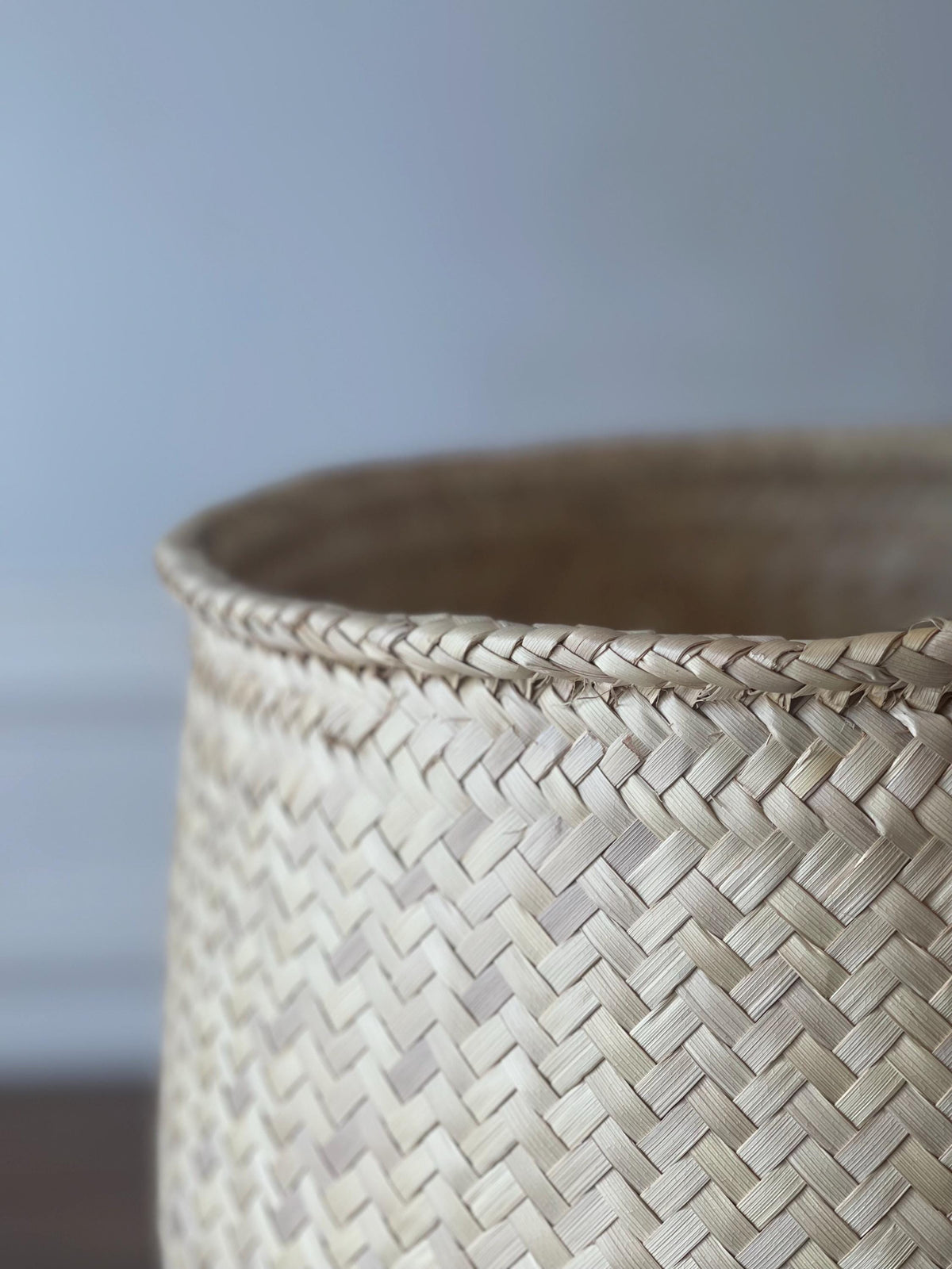 Handwoven Oaxacan Palm Storage Basket