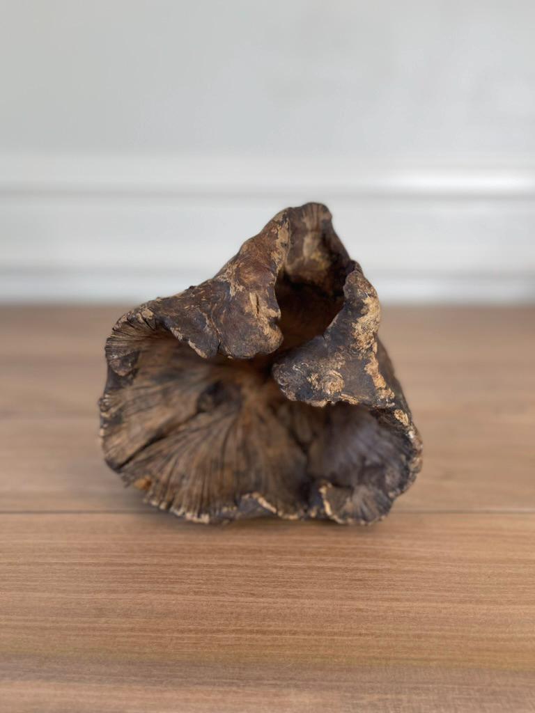 Natural Wood Burl Sculpture