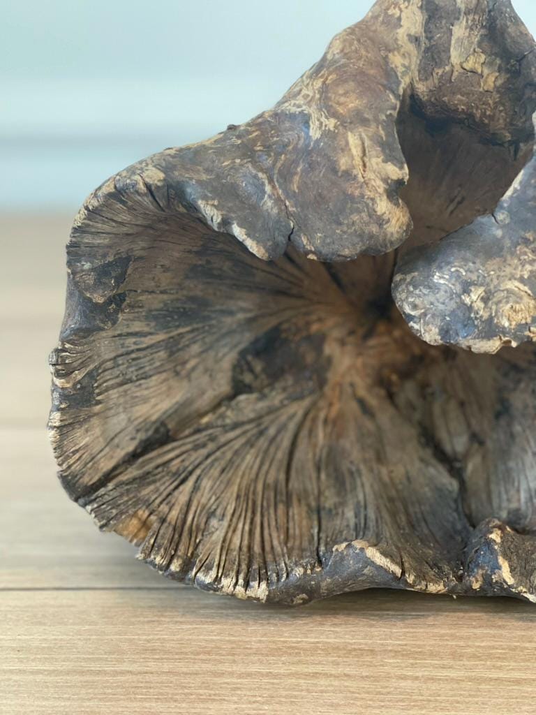 Natural Wood Burl Sculpture